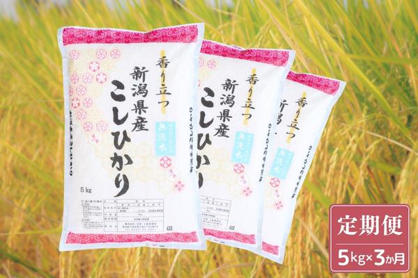 先行予約 新潟県産コシヒカリ 無洗米 5kg×3か月