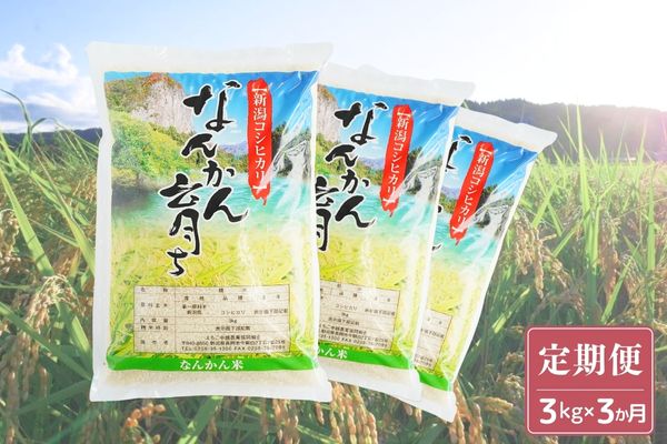 [定期便] 新米 三条市下田産コシヒカリ 3kg×3か月